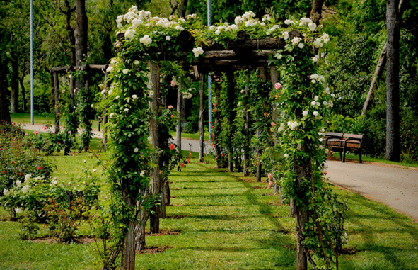 Parc de Cervantes has many green patch areas so you’ll have no trouble finding the ideal picnic spot